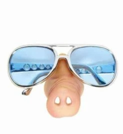 LUNETTES NEZ DE COCHON