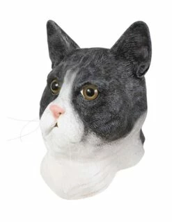 MASQUE DE CHAT EN LATEX (Masque Intégral)