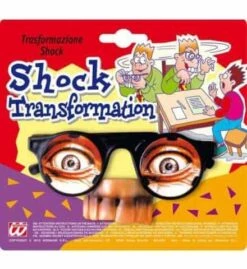 LUNETTES TRANSFORMATION